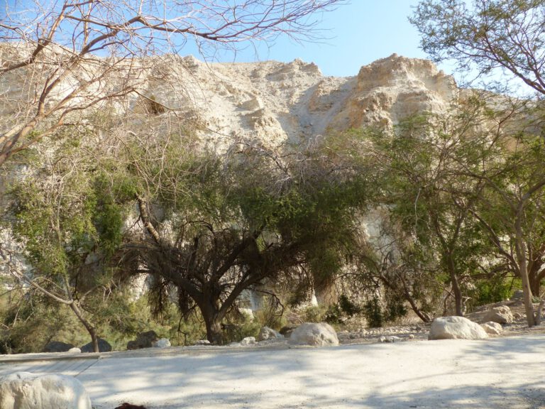 ein-gedi001