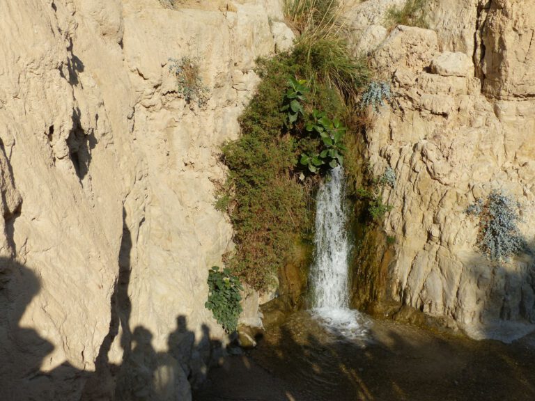 ein-gedi004