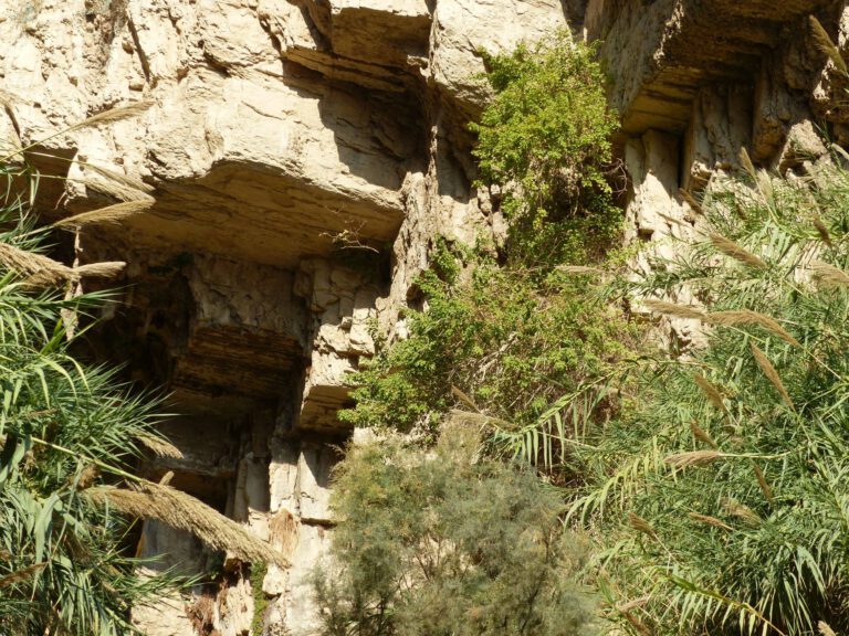 ein-gedi005