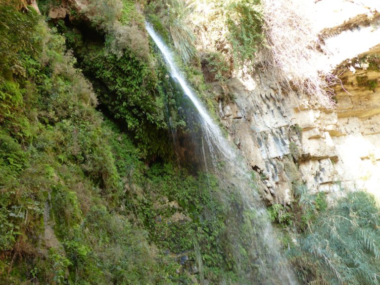 ein-gedi006