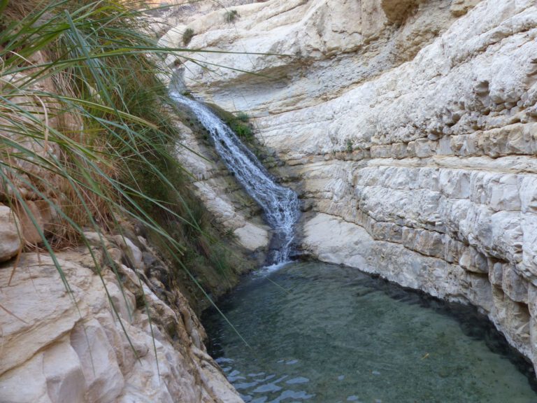 ein-gedi009