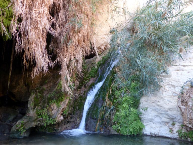 ein-gedi011