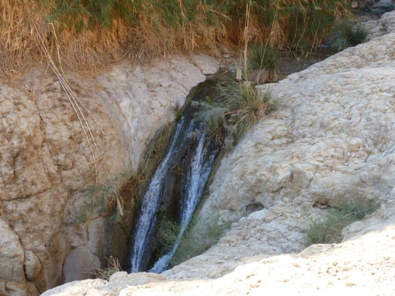 ein-gedi014